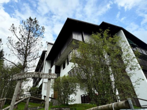 Appartamento Al Laghetto San Martino Di Castrozza